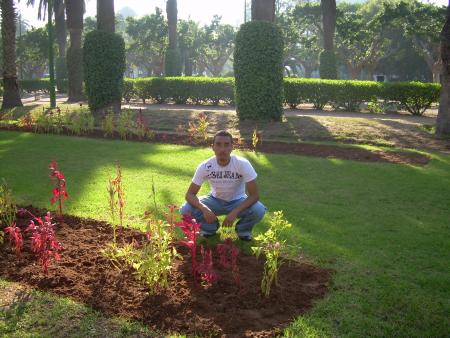 i go sight seeing to garden