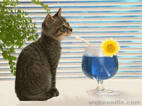 i want to drink limonade but limonade drink me